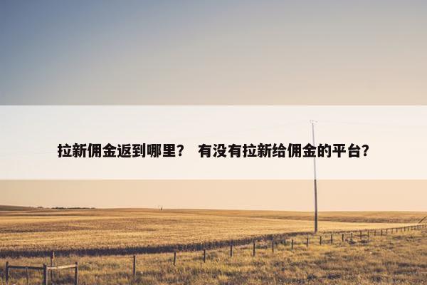拉新佣金返到哪里？ 有没有拉新给佣金的平台？