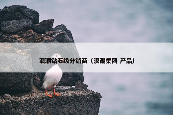 浪潮钻石级分销商（浪潮集团 产品）