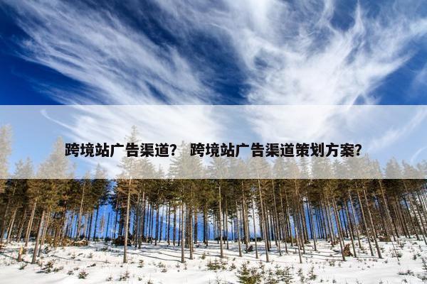 跨境站广告渠道？ 跨境站广告渠道策划方案？