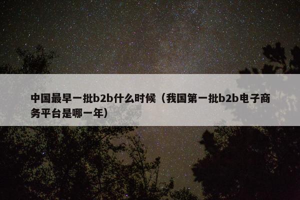 中国最早一批b2b什么时候（我国第一批b2b电子商务平台是哪一年）