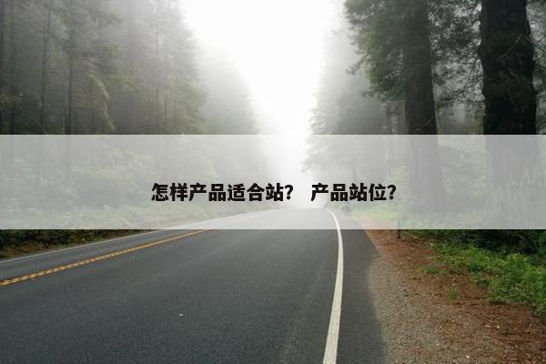 怎样产品适合站？ 产品站位？