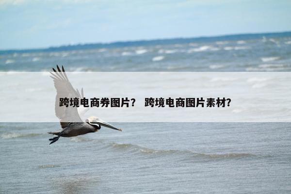 跨境电商券图片？ 跨境电商图片素材？