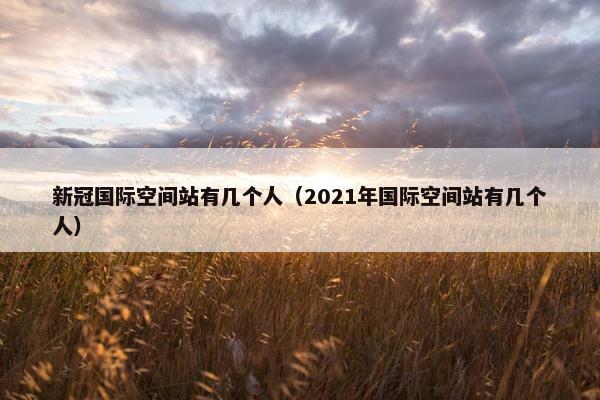 新冠国际空间站有几个人（2021年国际空间站有几个人）