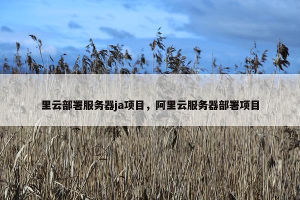里云部署服务器ja项目，阿里云服务器部署项目