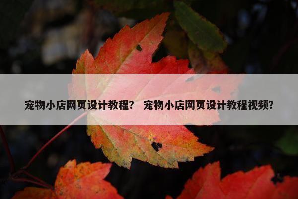 宠物小店网页设计教程？ 宠物小店网页设计教程视频？