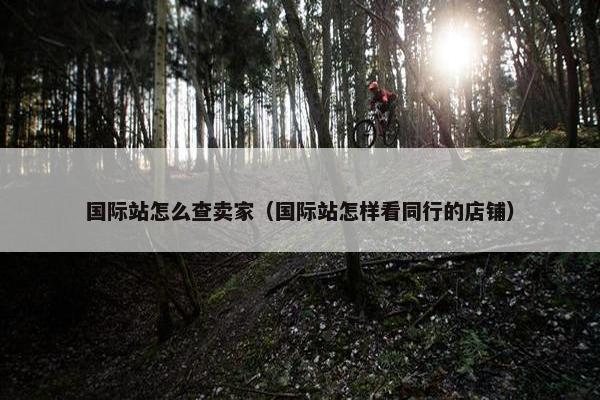 国际站怎么查卖家（国际站怎样看同行的店铺）