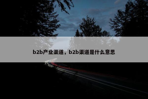 b2b产业渠道，b2b渠道是什么意思