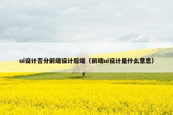 ui设计否分前端设计后端（前端ui设计是什么意思）