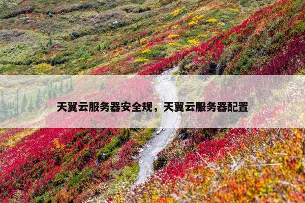 天翼云服务器安全规，天翼云服务器配置
