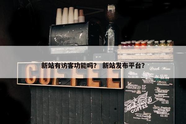 新站有访客功能吗？ 新站发布平台？