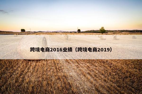 跨境电商2016业绩（跨境电商2019）