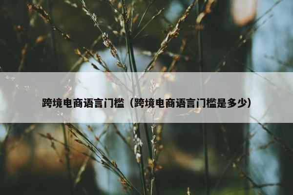 跨境电商语言门槛（跨境电商语言门槛是多少）