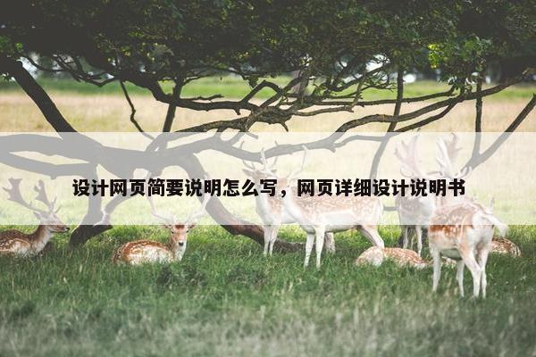 设计网页简要说明怎么写，网页详细设计说明书