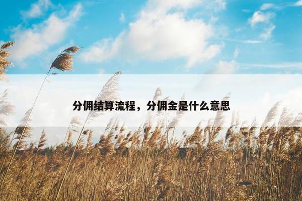 分佣结算流程，分佣金是什么意思