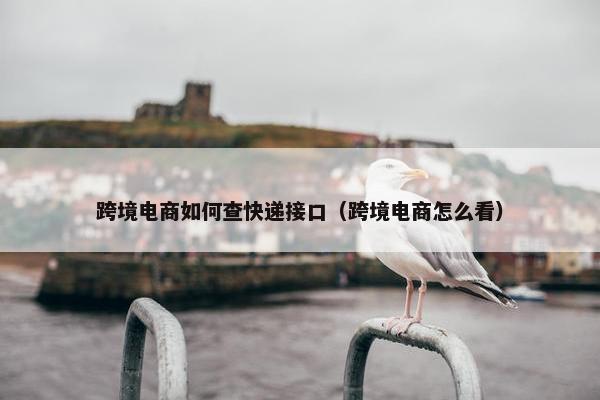 跨境电商如何查快递接口（跨境电商怎么看）