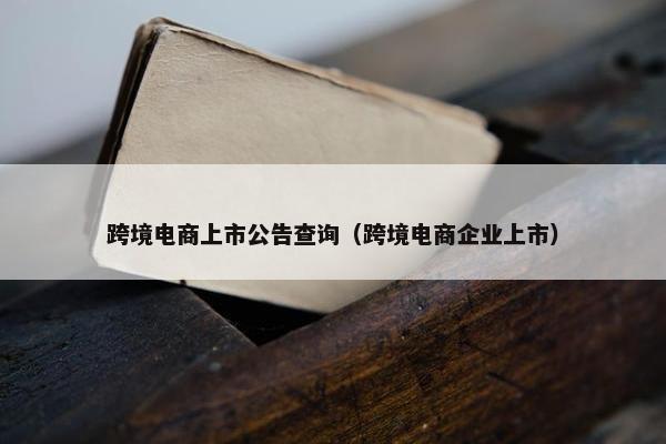 跨境电商上市公告查询（跨境电商企业上市）