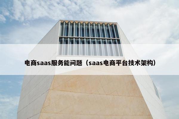 电商saas服务能问题（saas电商平台技术架构）