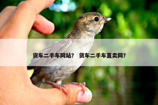 货车二手车网站？ 货车二手车直卖网？
