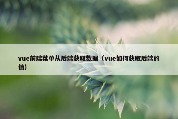vue前端菜单从后端获取数据（vue如何获取后端的值）