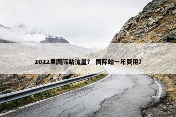 2022里国际站流量？ 国际站一年费用？