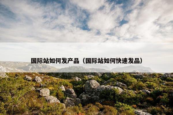 国际站如何发产品（国际站如何快速发品）