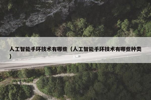 人工智能手环技术有哪些（人工智能手环技术有哪些种类）