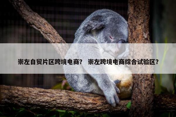 崇左自贸片区跨境电商？ 崇左跨境电商综合试验区？
