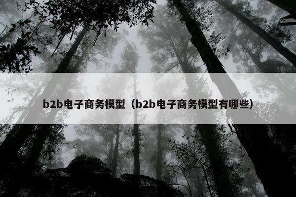 b2b电子商务模型（b2b电子商务模型有哪些）