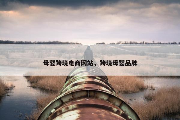 母婴跨境电商网站，跨境母婴品牌