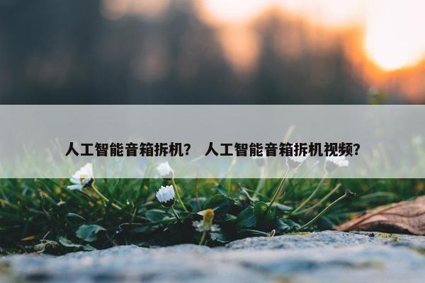 人工智能音箱拆机？ 人工智能音箱拆机视频？