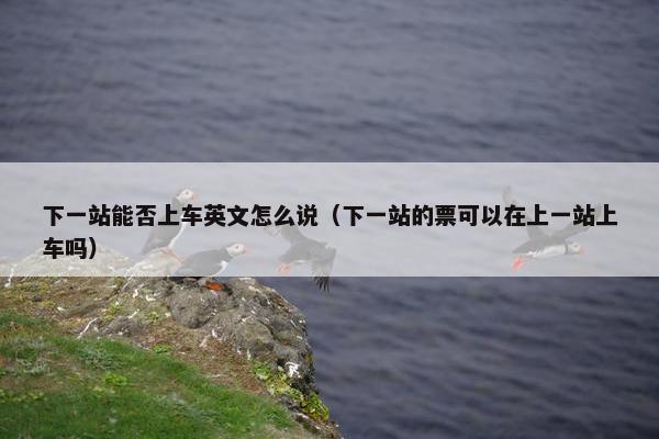 下一站能否上车英文怎么说（下一站的票可以在上一站上车吗）
