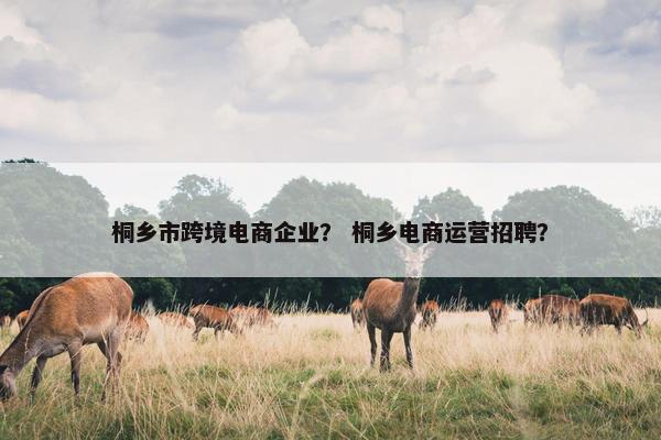 桐乡市跨境电商企业？ 桐乡电商运营招聘？