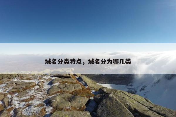 域名分类特点，域名分为哪几类