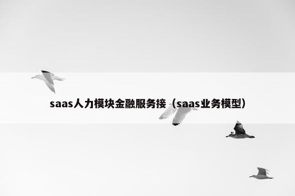 saas人力模块金融服务接（saas业务模型）