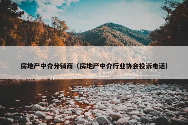 房地产中介分销商（房地产中介行业协会投诉电话）