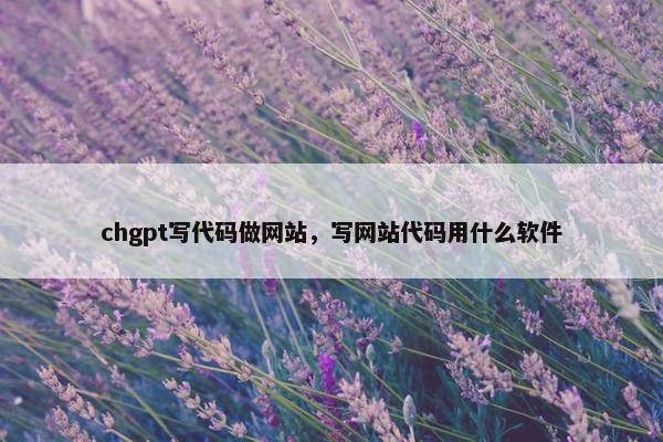 chgpt写代码做网站，写网站代码用什么软件