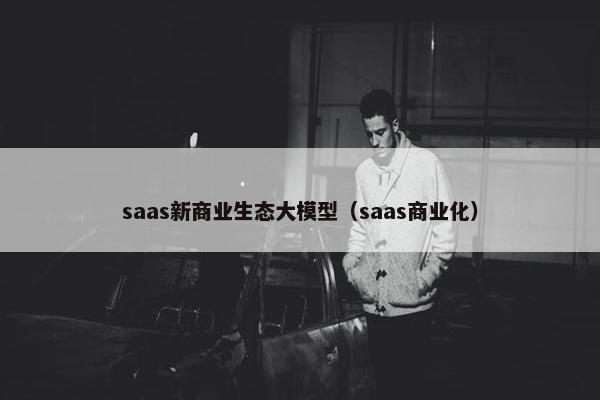 saas新商业生态大模型（saas商业化）