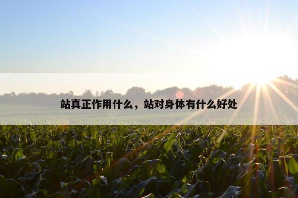站真正作用什么，站对身体有什么好处