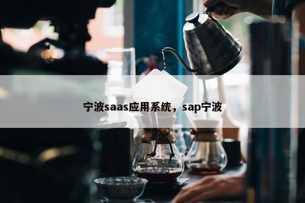 宁波saas应用系统，sap宁波