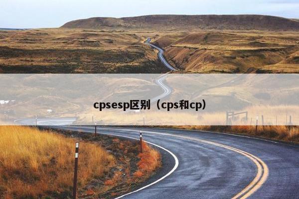 cpsesp区别（cps和cp）