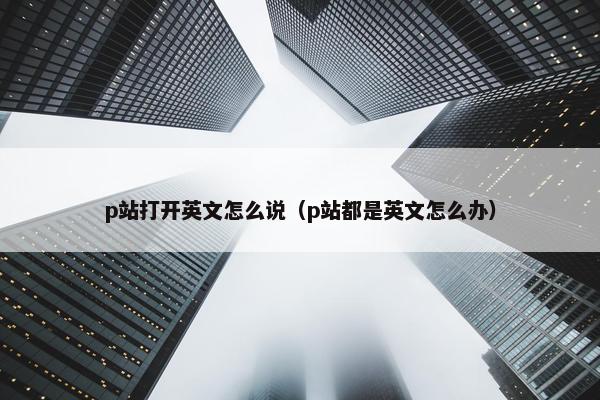p站打开英文怎么说（p站都是英文怎么办）