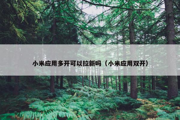 小米应用多开可以拉新吗（小米应用双开）