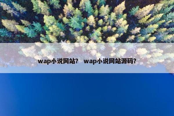 wap小说网站？ wap小说网站源码？
