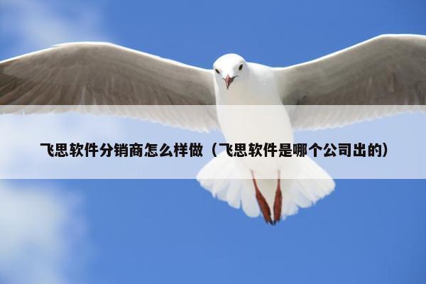 飞思软件分销商怎么样做（飞思软件是哪个公司出的）