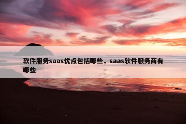 软件服务saas优点包括哪些，saas软件服务商有哪些