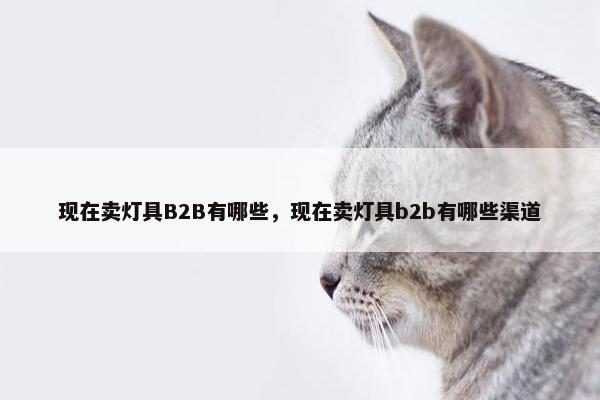 现在卖灯具B2B有哪些，现在卖灯具b2b有哪些渠道