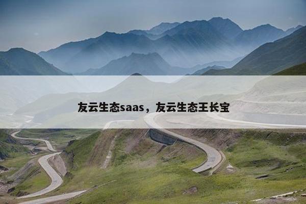 友云生态saas，友云生态王长宝
