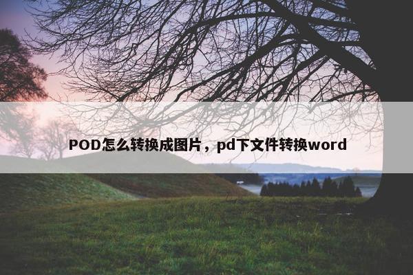 POD怎么转换成图片，pd下文件转换word