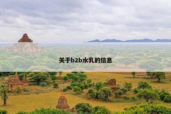 关于b2b水乳的信息
