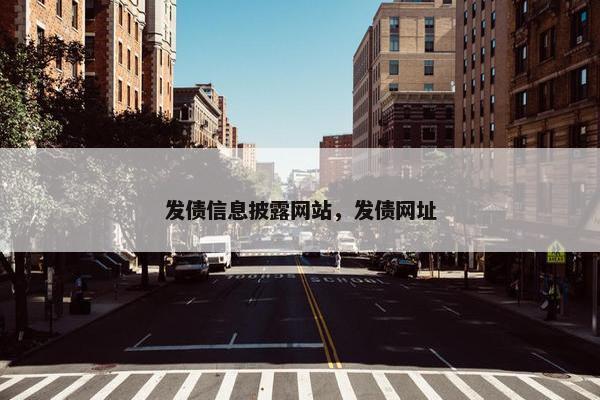 发债信息披露网站，发债网址